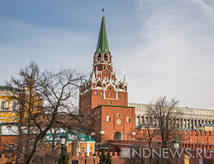 В правительстве России намекнули, что отмена приговора Чудновец прошла не без вмешательства Путина