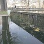Один из парков для отдыха в Симферополе превратился в помойку с водой цвета хаки