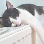 Симферопольцы жалуются на «ненужное» тепло в квартирах