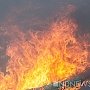 В Симферополе на пожаре погибли три человека