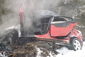 В районе Сухой речки автомобиль врезался в дерево и сгорел