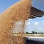 В Крыму наблюдается рост засоренности экспортных партий зерна