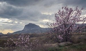 В среду в Крыму до 10 градусов тепла, небольшой дождь