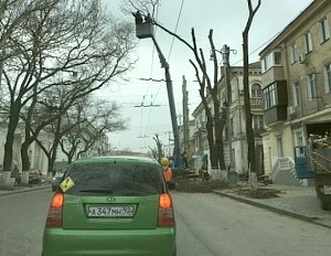 Деревья подрезают сильно, потому что так дешевле