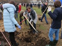 Юрий Гоцанюк принял участие в акции по посадке деревьев в пгт молодёжное