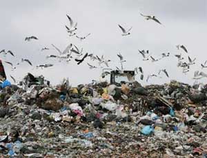 В Крыму закроют ещё пять мусорных свалок