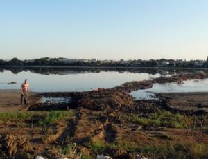 Грязи озер вблизи Феодосии оказались просто грязью: на лечебные не тянут