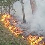 В Крыму утверждён план тушения лесных пожаров