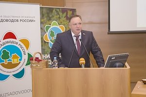 Сельское хозяйство в России показывает хорошие темпы роста