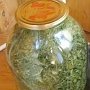 Крымчанин «консервировал» марихуану и прятал в огороде