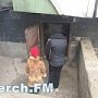 В Керчи у женщины забрали 7-летнюю дочь, которая жила в подвале многоэтажки