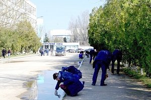 В Керчи коммунальные службы озеленили Митридат