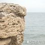 Морские сокровища Крыма защитят законом