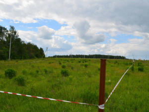 В Советском районе сельхозпредприятие присвоило 20 тысяч га земли