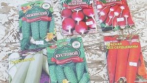 В Крым пытались ввезти семена «гайдамаки» и «красного белого кончика»