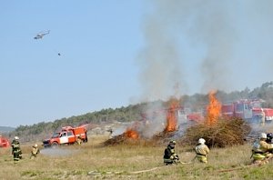 В Севастополе завершилась масштабная комплексная тренировка по ликвидации лесного пожара