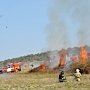 В Севастополе завершилась масштабная комплексная тренировка по ликвидации лесного пожара