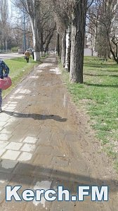 В Керчи питьевая вода вновь льется по тротуарам и клумбам