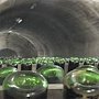 Власти Крыма намерены летом выставить на торги завод шампанских вин «Новый Свет»