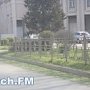 В Керчи на улице Свердлова косили траву
