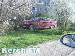 В Керчи иномарка паркуется на зеленом газоне под деревьями
