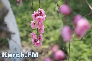 В Керчи на Пасху обещают солнечную погоду