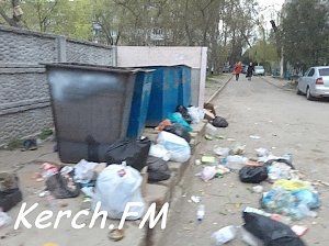 Около мусорных баков на Ворошилова коммунальщики устроили свалку, — керчанка