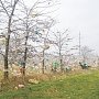В Саках мусор возят на закрытый полигон, власти не видят ничего страшного