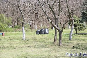 В Керчи в Комсомольском парке косят траву