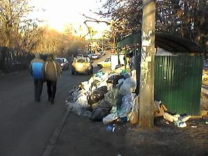 Активисты и общественники выгрузили мусор под ворота глав муниципалитетов