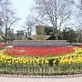 Севастополь ко Дню Победы украсят новыми цветочными композициями