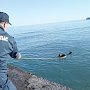 Крымские спасатели отработали способы спасения пострадавшего на воде