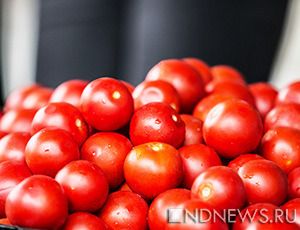 Турецкие помидоры приедут в Россию из Белоруссии