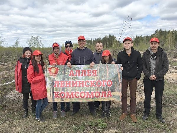 Комсомольцы провели акцию «Возродим леса в Марий Эл»