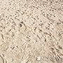 На территории античного городища Крыма незаконно добывают песок: в минприроды это называют «изучением»