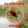 Осторожно, клещи!