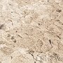 «Трактор продрал некрополь, уничтожил культурный слой…» На Артезиане остановили добычу песка