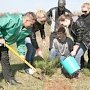 Крымских школьников задействуют в озеленении полуострова