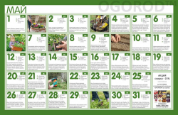 Лунный посевной календарь для садовода на май 2017