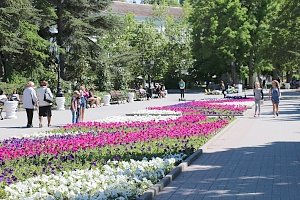 В Севастополе продолжается высадка цветов и озеленение территории города