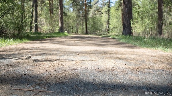 Чтобы насладится природой Крыма, туристам придется сбиваться в «стаи» и раскошеливаться, раскошеливаться, раскошеливаться