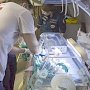 Спецборт МЧС эвакуировал из Крыма в Санкт-Петербург двоих новорожденных