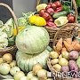 Стоимость продуктовой корзины возросла в три раза быстрее инфляции