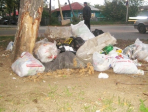 Тех, кто выбрасывает мусор на улицу, наконец-то стали наказывать штрафом