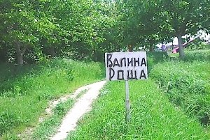 Валина роща