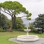 Совмин передал Ливадийский парк в управление Ливадийскому дворцу