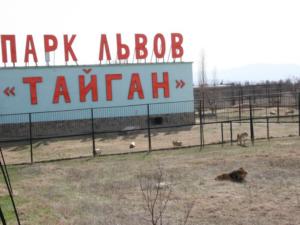 В «Тайгане» есть самострои, — Служба стройнадзора