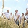 Владимир Константинов: Сельское хозяйство Красноперекопского района демонстрирует устойчивый рост