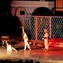 Балетную постановку «Бахчисарайский фонтан» покажут в Ханском дворце