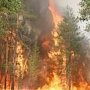 Как спастись от лесного пожара